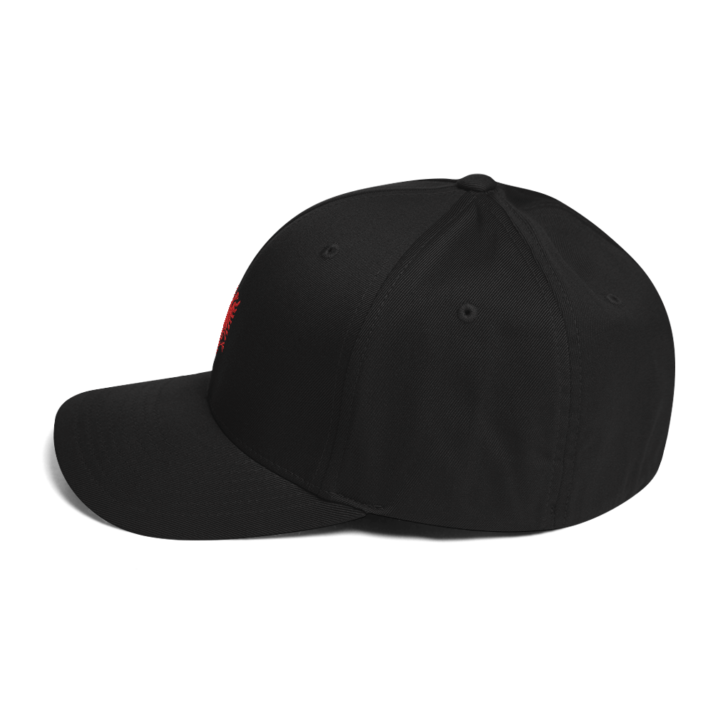 FLEX FIT Cap "Albania"
