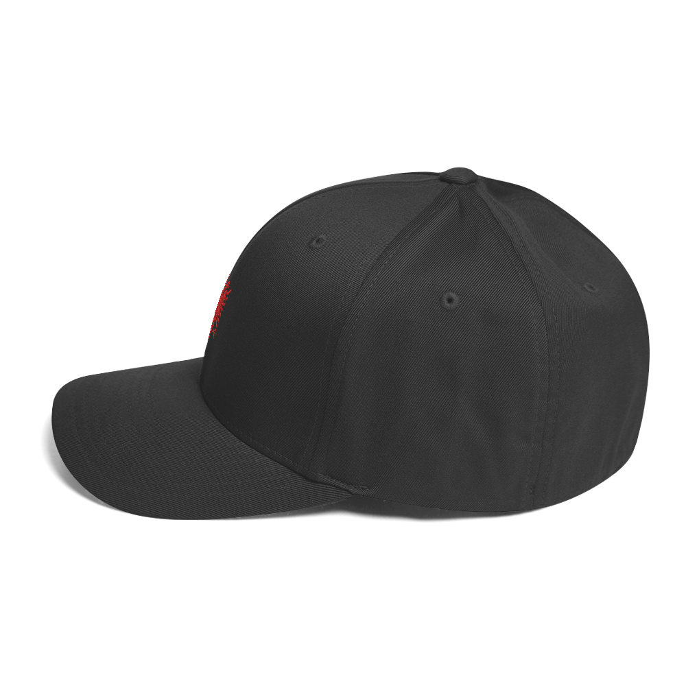 FLEX FIT Cap "Albania"