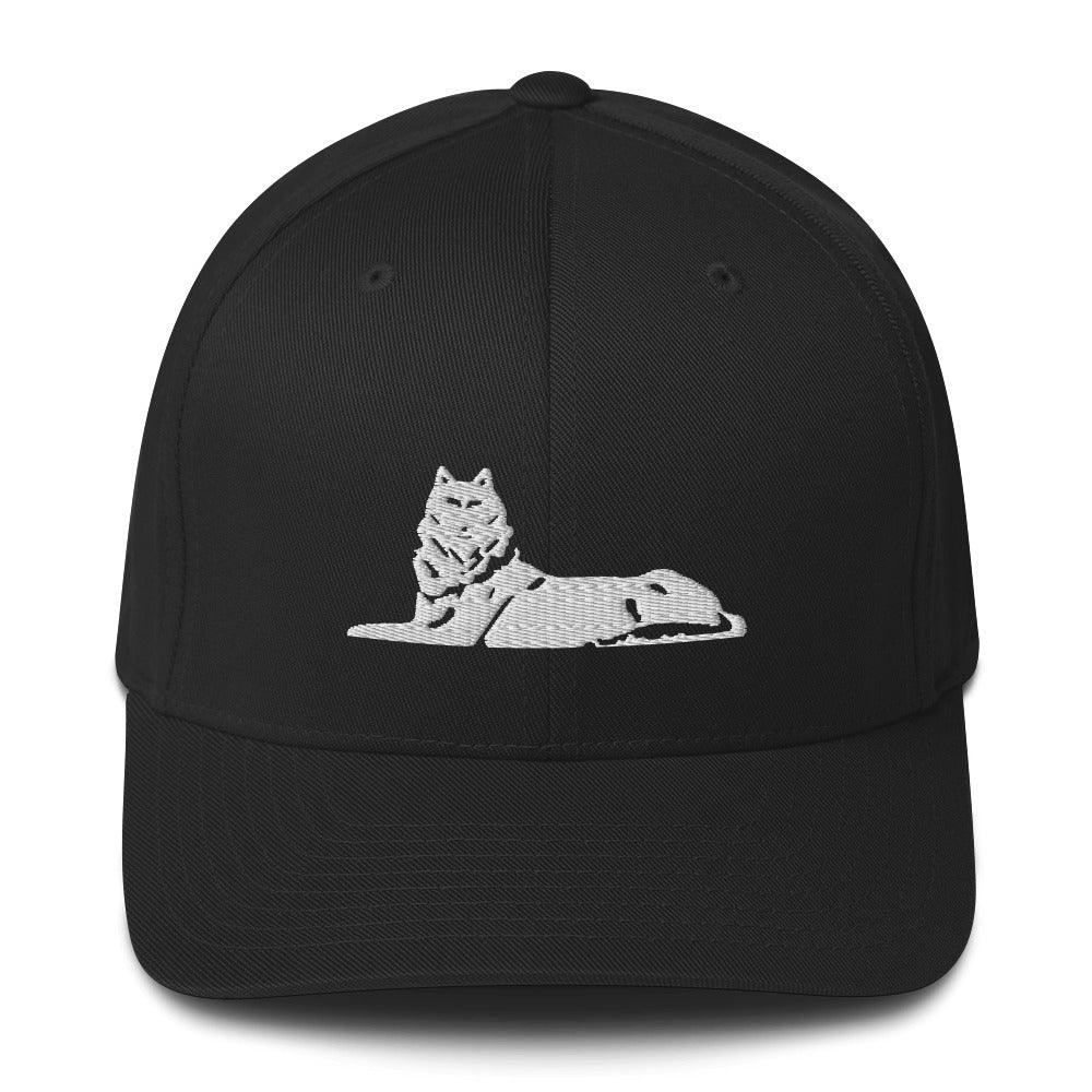 FLEX FIT Cap BORZ - VAYBORZ