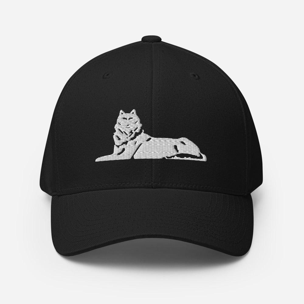 FLEX FIT Cap BORZ - VAYBORZ