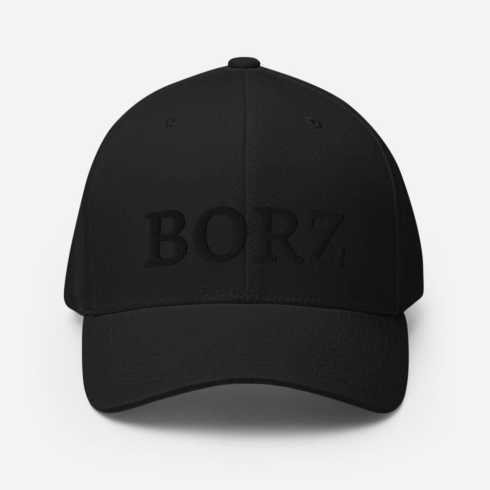 FLEX FIT Cap Black Borz