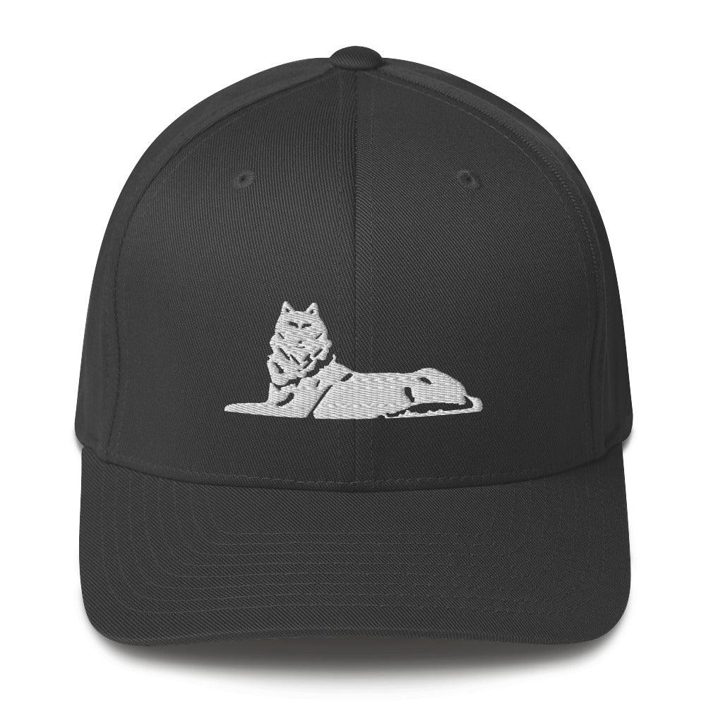 FLEX FIT Cap BORZ - VAYBORZ