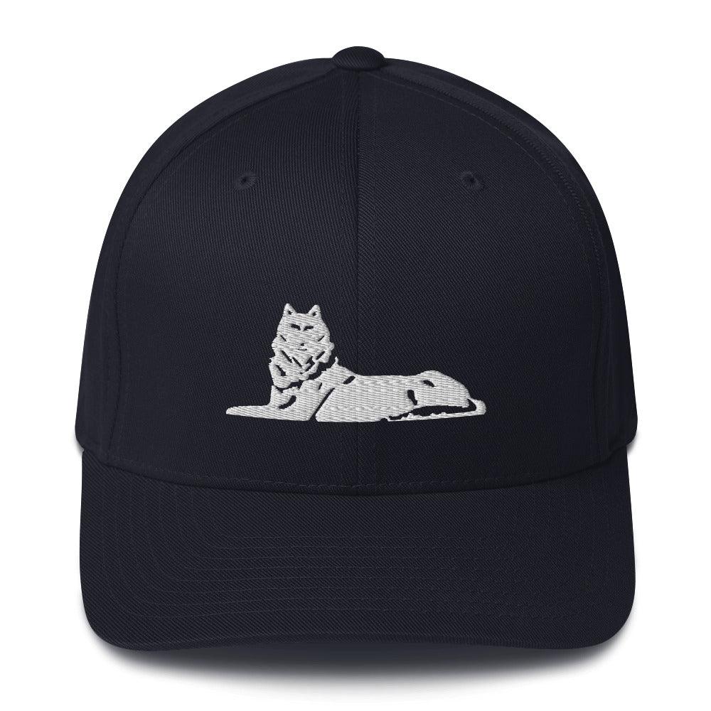 FLEX FIT Cap BORZ - VAYBORZ