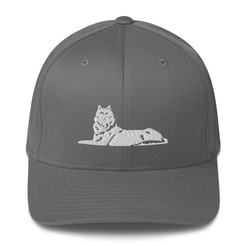 FLEX FIT Cap BORZ - VAYBORZ
