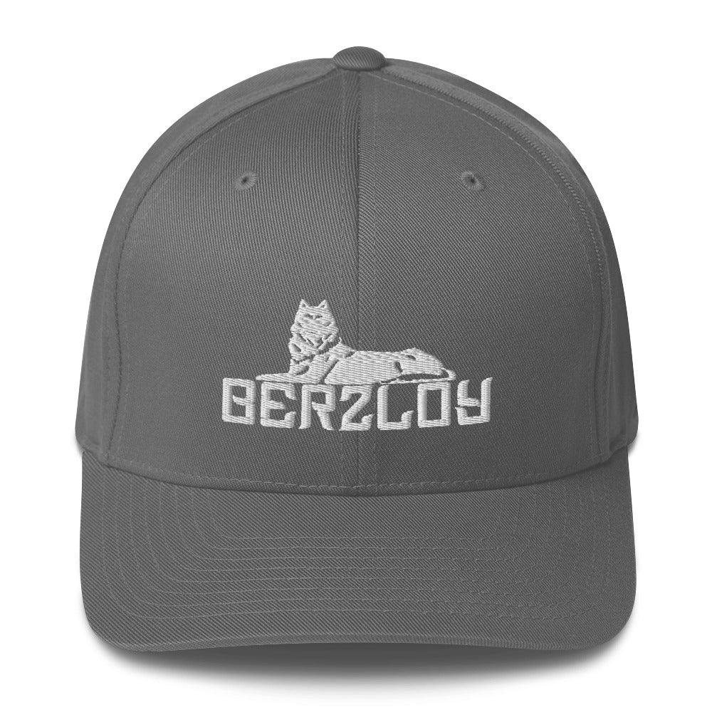FLEX FIT Cap Berzloy - VAYBORZ