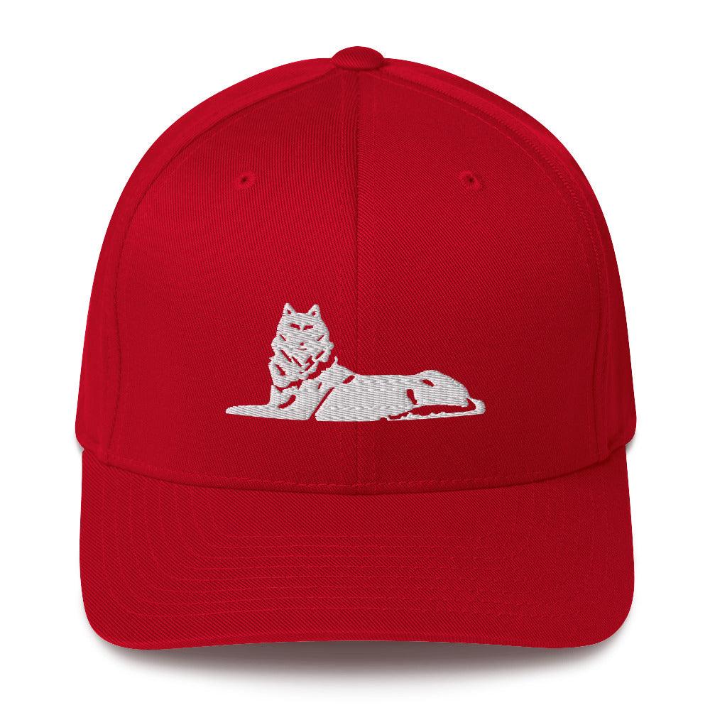 FLEX FIT Cap BORZ - VAYBORZ