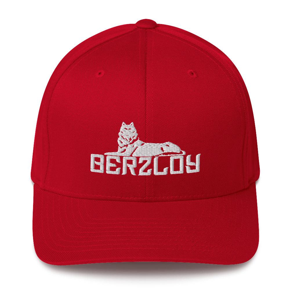 FLEX FIT Cap Berzloy - VAYBORZ