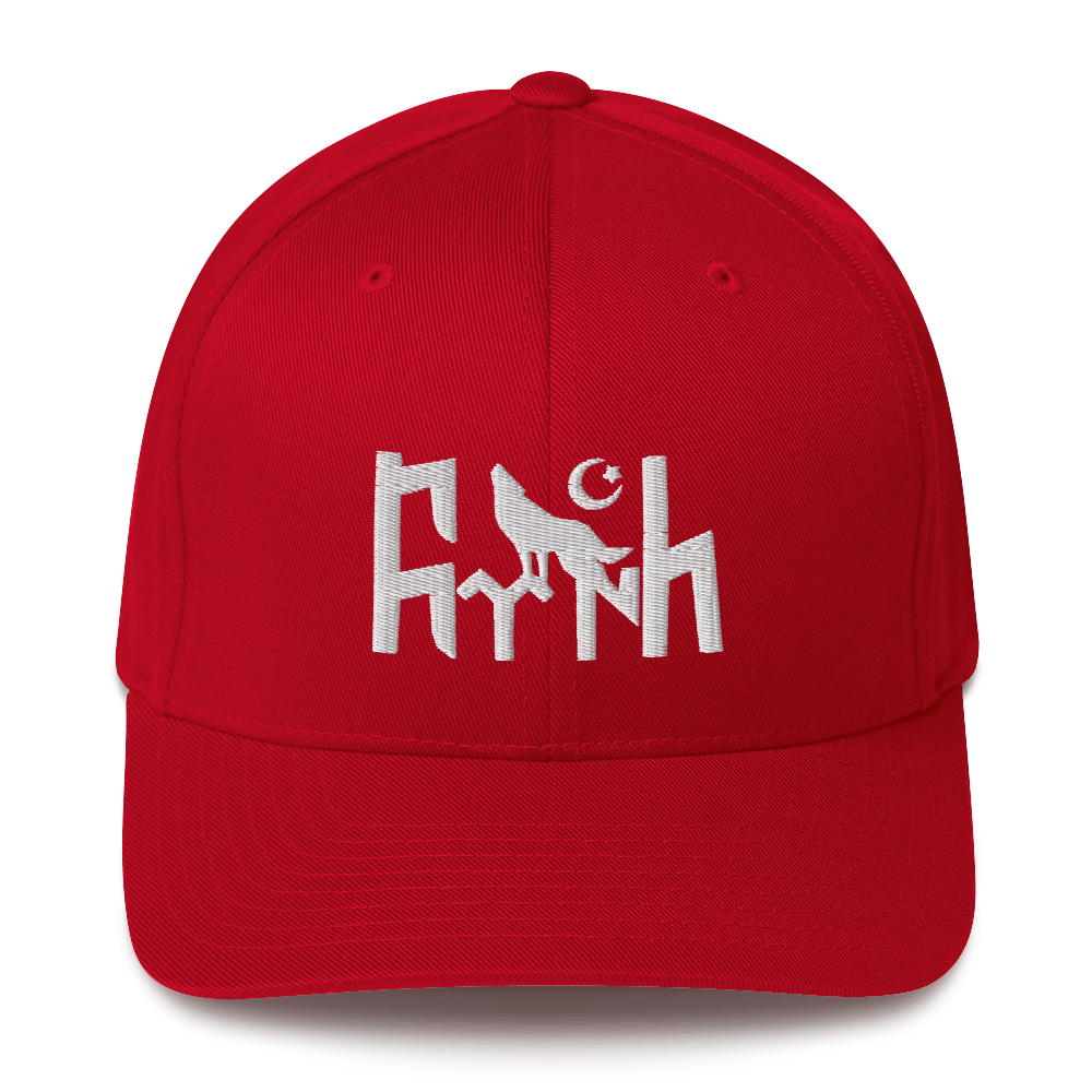 FLEX FIT Cap Gök Türk