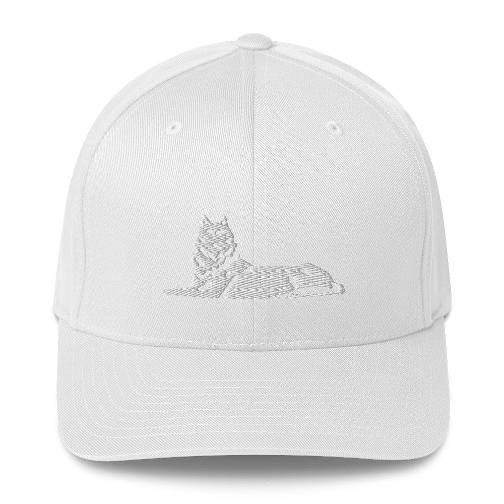 FLEX FIT Cap BORZ - VAYBORZ