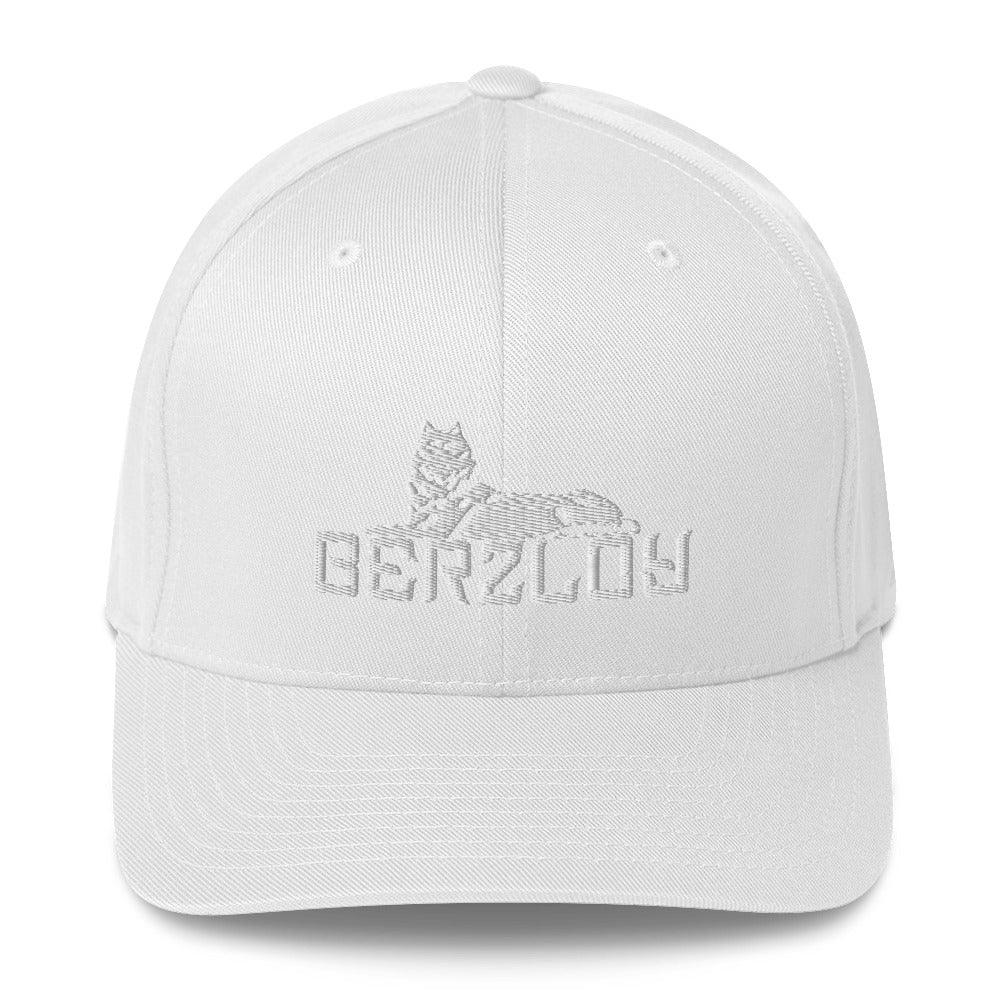 FLEX FIT Cap Berzloy - VAYBORZ