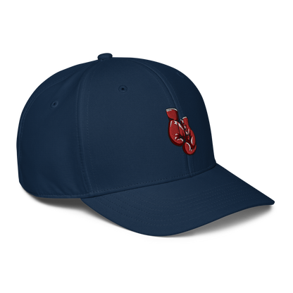 Adidas Perfomance Cap "BOXING"