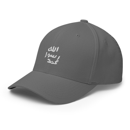 FLEX FIT Cap "Siegel"