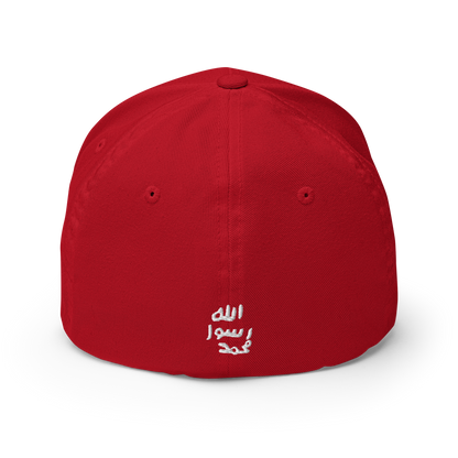 FLEX FIT Cap "Siegel"