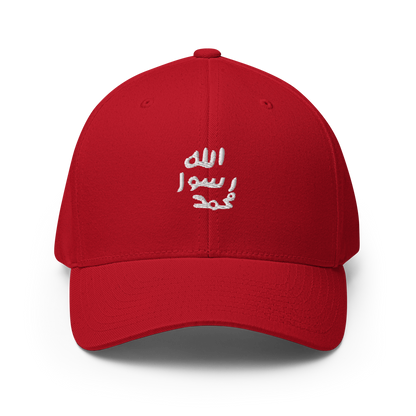 FLEX FIT Cap "Siegel"