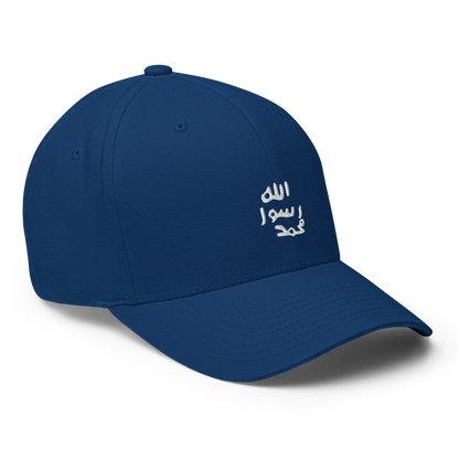 FLEX FIT Cap "Siegel"