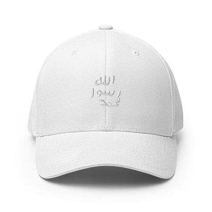 FLEX FIT Cap "Siegel"