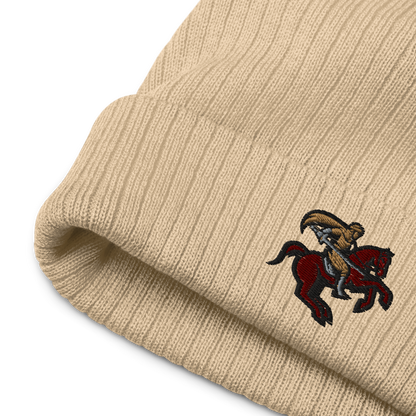Ribbed Knitted Hat "Sabre"