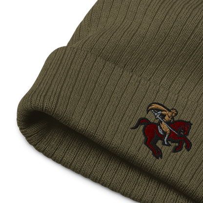 Ribbed Knitted Hat "Sabre"
