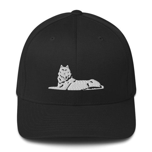 FLEX FIT Cap BORZ - VAYBORZ