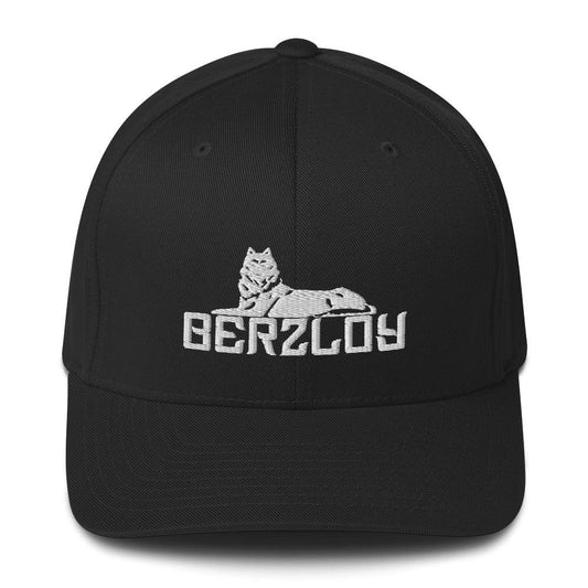 FLEX FIT Cap Berzloy - VAYBORZ