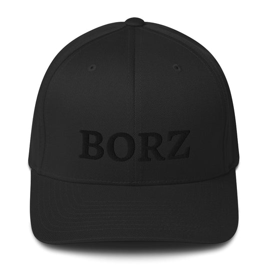 FLEX FIT Cap Black Borz